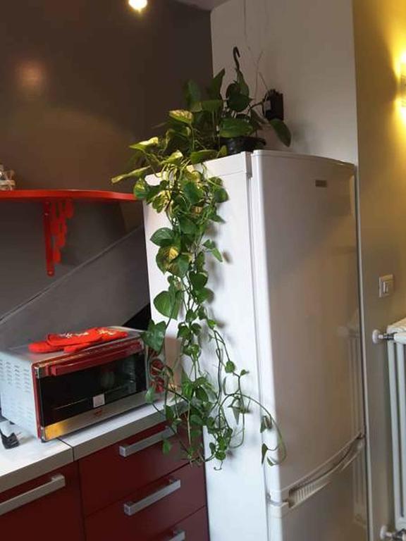 Apartamento Nonno Pinin Turín Exterior foto